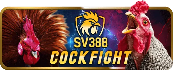Ưu đãi thành viên hiện tại 789vg login